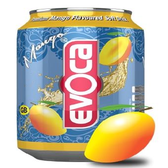 Evoca Mango-24x330ml03